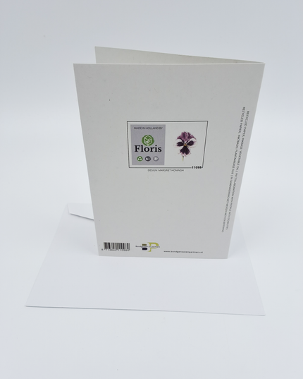 Greeting card purple violin (F11098)