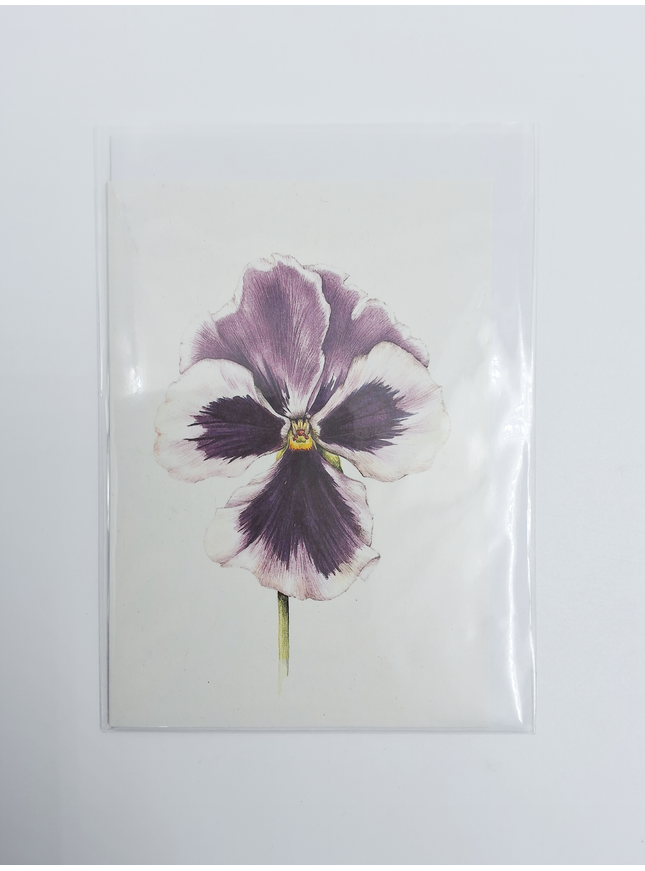 carte de vœux violette