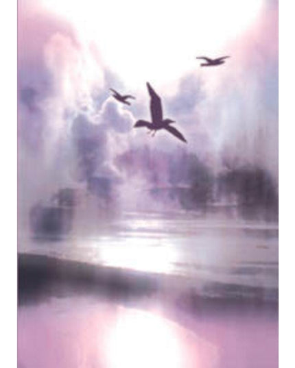 Condolence card birds (F11218)