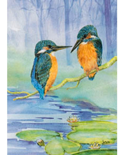 Greeting card kingfishers (F11230)