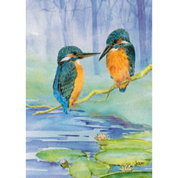 Wenskaart ijsvogels (F11230)