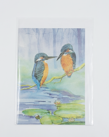 Greeting card kingfishers (F11230)