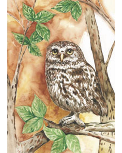Greeting card owl (F11298)