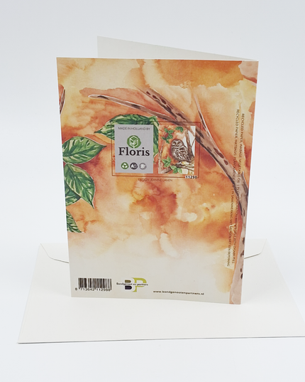 Greeting card owl (F11298)