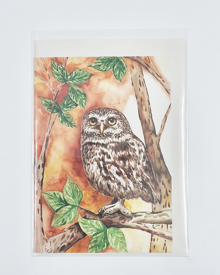 Greeting card owl (F11298)