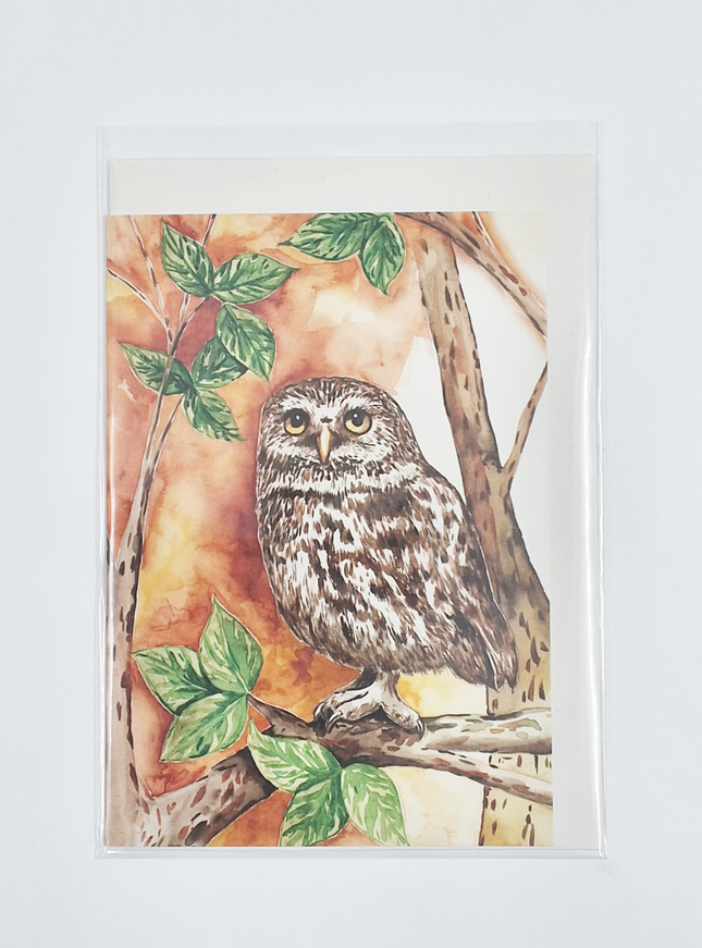 Wenskaart uil (F11298)