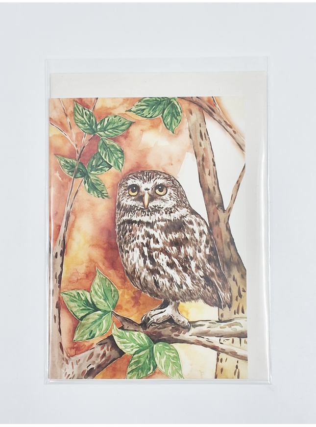 Wenskaart uil (F11298)