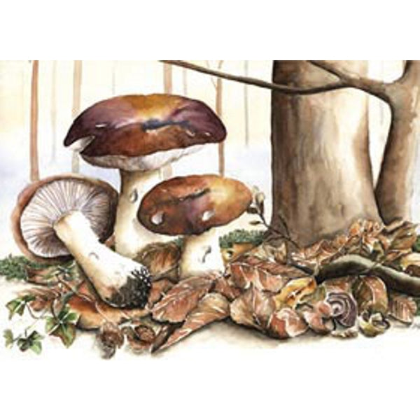 Wenskaart bruine paddestoelen (F11358)