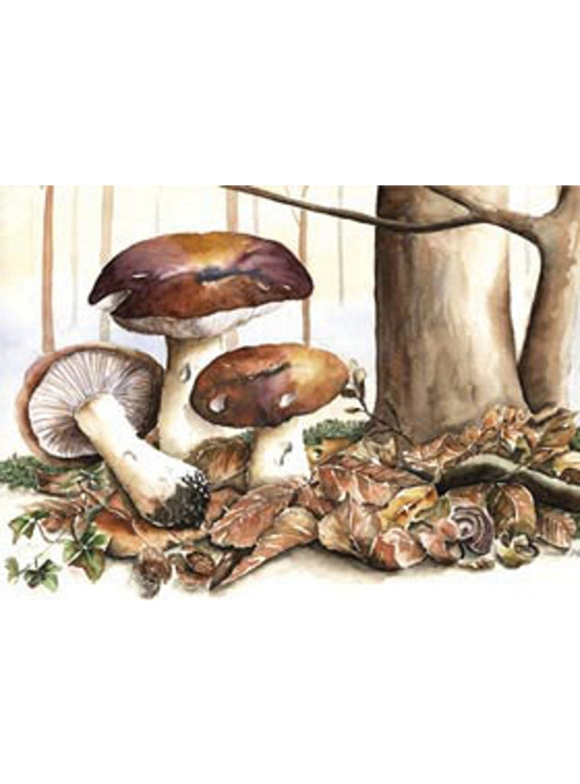 Wenskaart bruine paddestoelen (F11358)