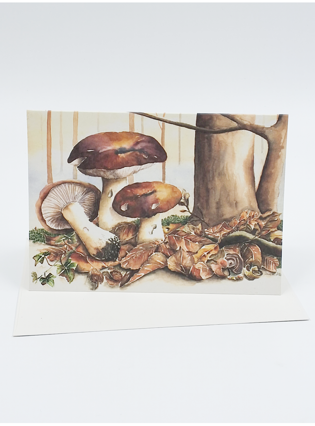 Wenskaart bruine paddestoelen (F11358)