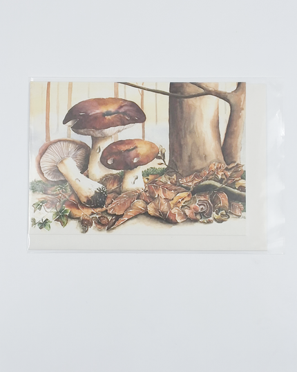 Wenskaart bruine paddestoelen (F11358)