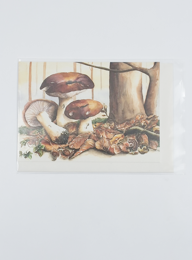 Wenskaart bruine paddestoelen (F11358)