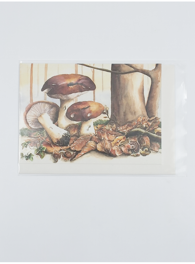 Wenskaart bruine paddestoelen (F11358)