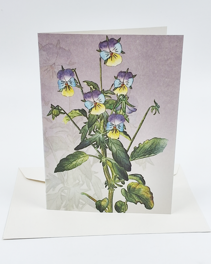 Greeting card wild pansy (F11392)