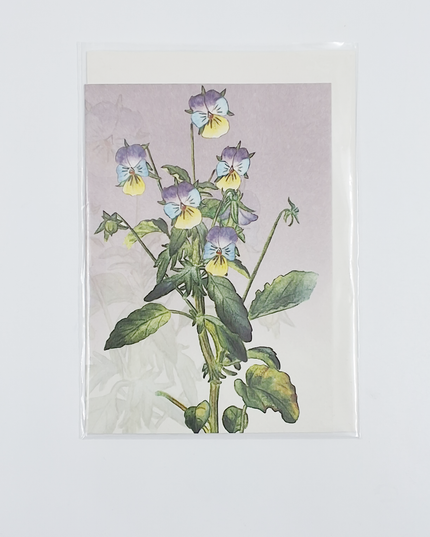 Greeting card wild pansy (F11392)