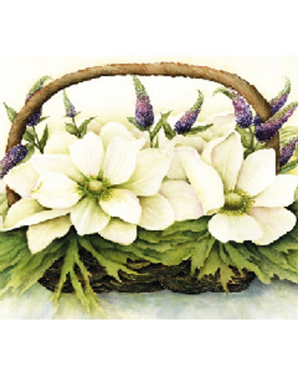 Greeting card anemones and veronica (F11395)