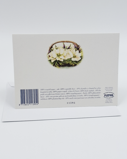 Greeting card anemones and veronica (F11395)