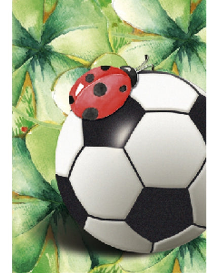 Greeting card football (F11413)