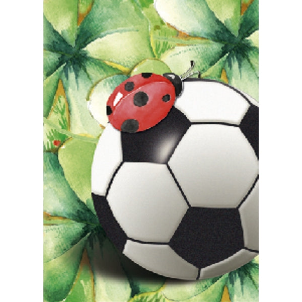 Wenskaart voetbal (F11413)