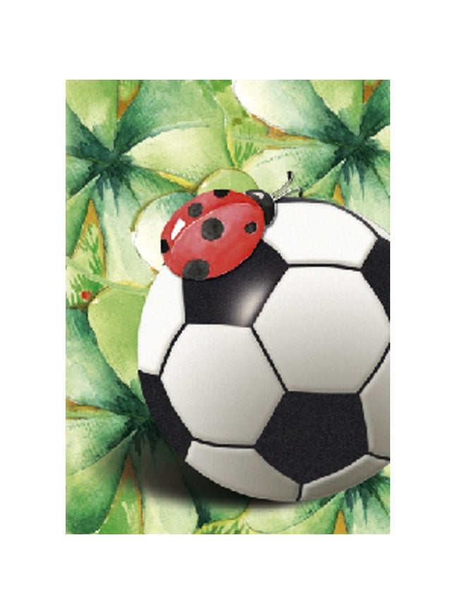 Wenskaart voetbal (F11413)