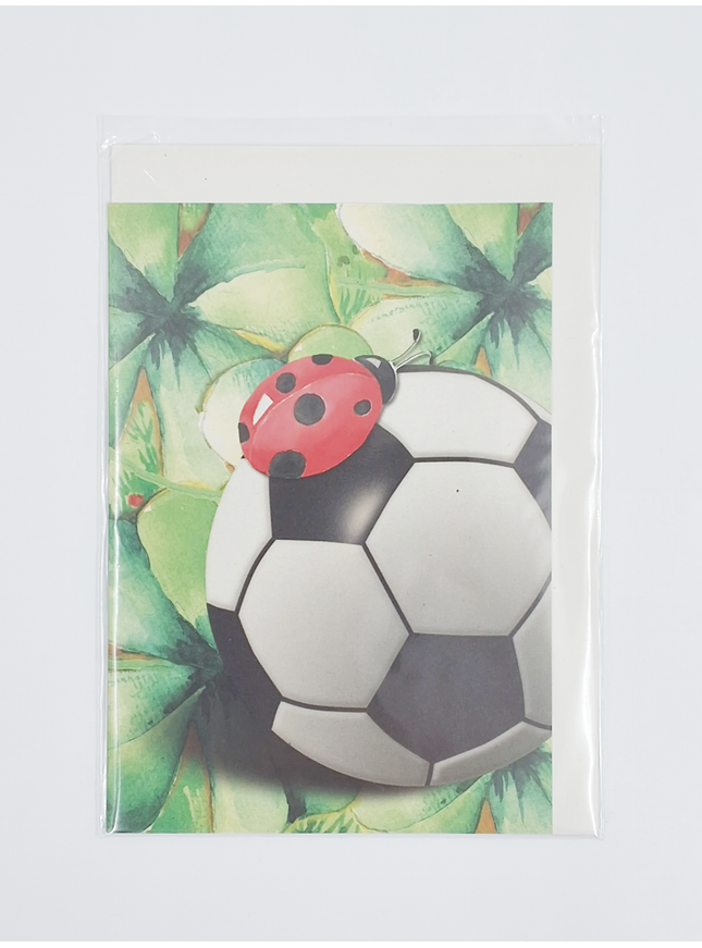 Wenskaart voetbal (F11413)