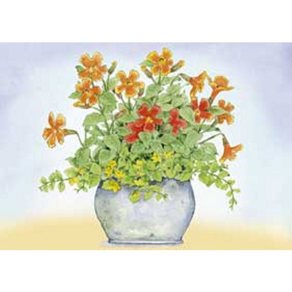 Wenskaart oranje/gele bloemen in pot (F11488)