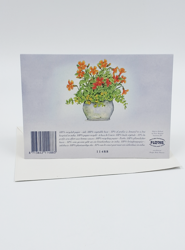 Wenskaart oranje/gele bloemen in pot (F11488)