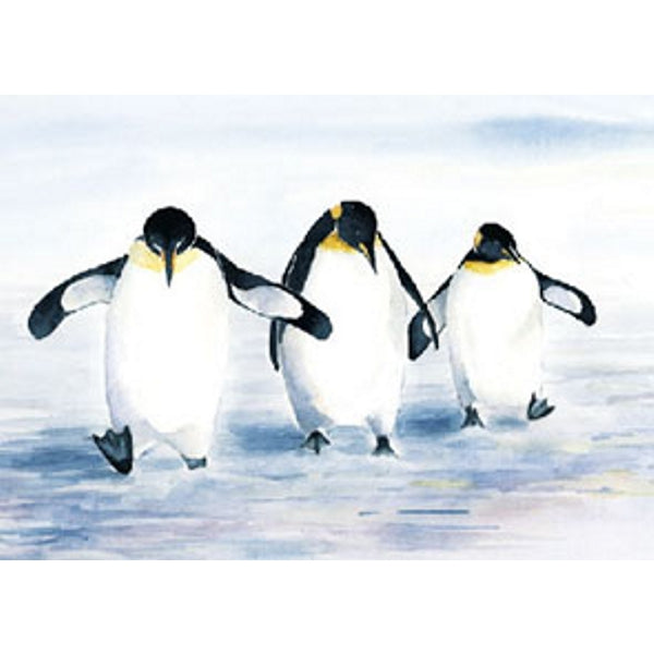 Wenskaart 3 pinguïns (F11521)