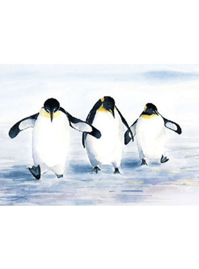 Wenskaart 3 pinguïns (F11521)