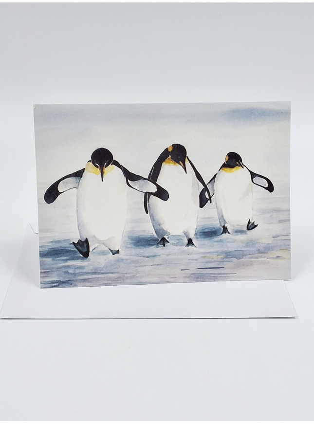 Wenskaart 3 pinguïns (F11521)