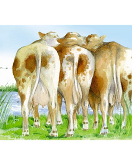 Greeting card cow butts (F11584)