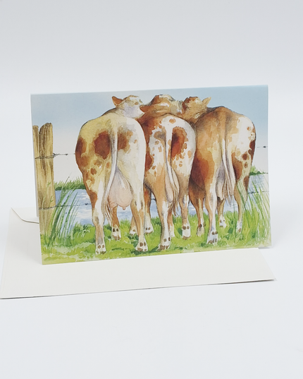 Greeting card cow butts (F11584)