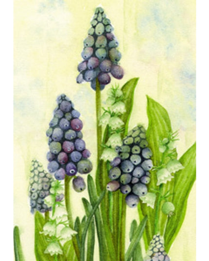 Greeting card blue grape hyacinths Muriel (F11597)