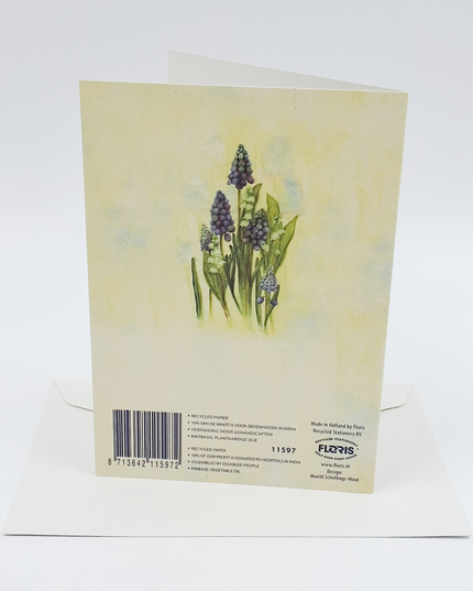 Greeting card blue grape hyacinths Muriel (F11597)