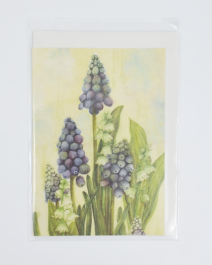 Greeting card blue grape hyacinths Muriel (F11597)