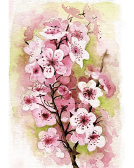 Greeting card apple blossom (F11659)