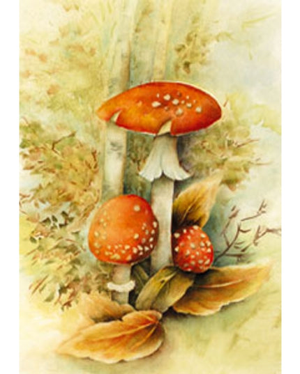 Wenskaart rode paddenstoelen Muriël (F11721)