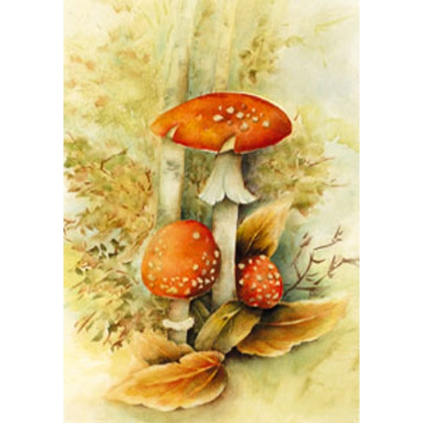 Wenskaart rode paddenstoelen Muriël (F11721)