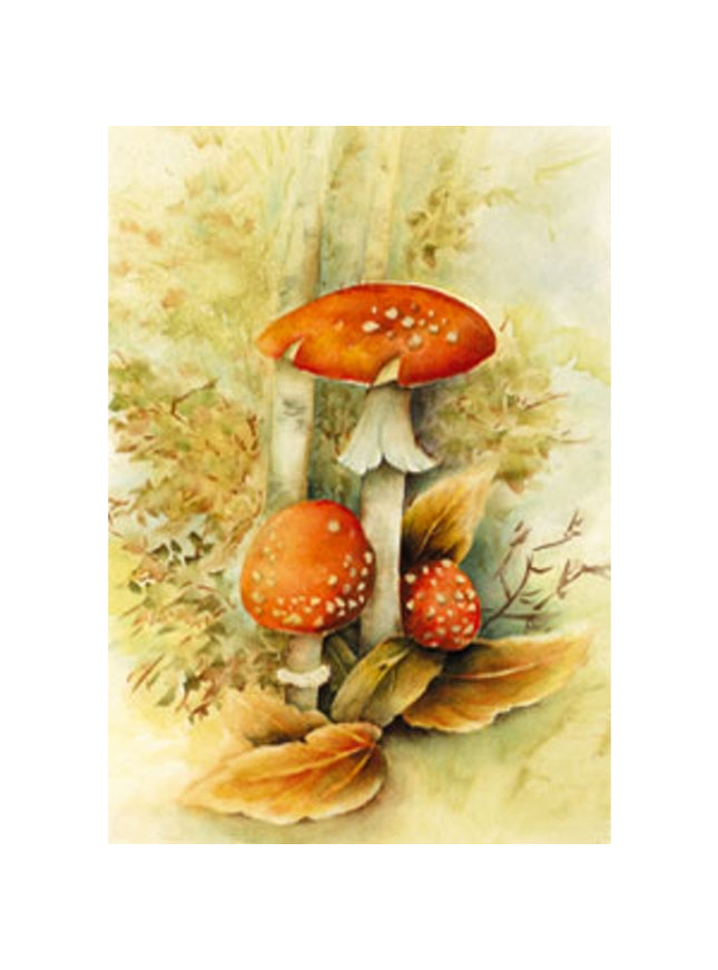 Carte de vœux champignons rouges Muriel