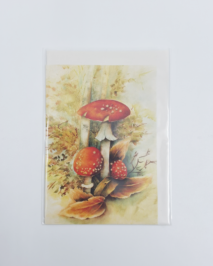 Wenskaart rode paddenstoelen Muriël (F11721)
