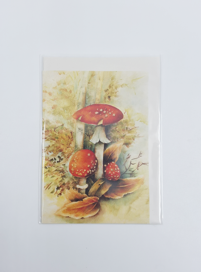 Wenskaart rode paddenstoelen Muriël (F11721)