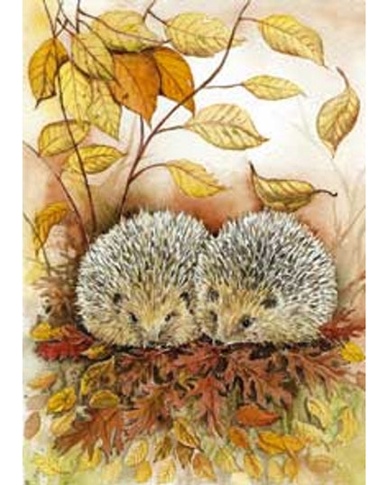 Greeting Card 2 hedgehogs Jeanine (F11725)