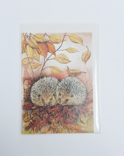 Greeting Card 2 hedgehogs Jeanine (F11725)