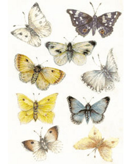 Greeting card butterflies Muriel (F11774)
