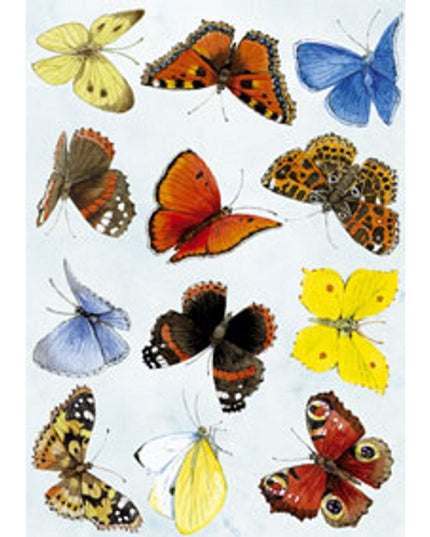 Greeting card butterflies Annie (F11790)
