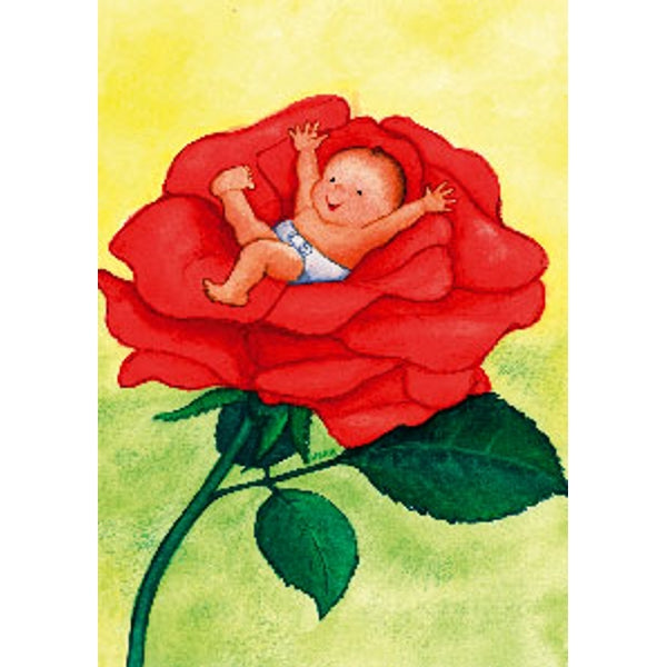 Wenskaart baby roos (F12062)