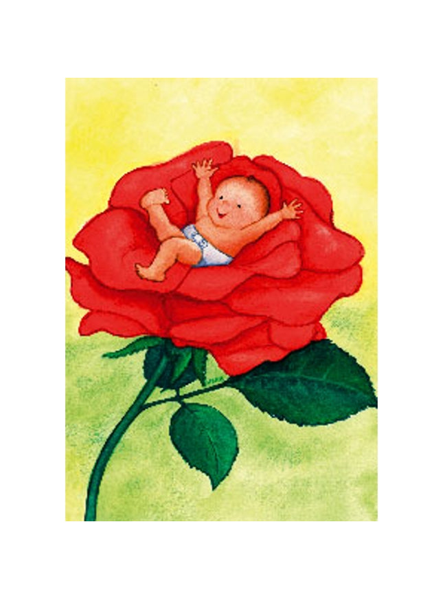 Wenskaart baby roos (F12062)