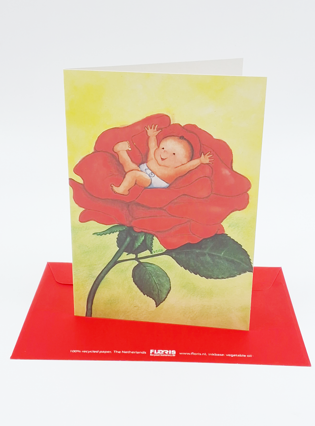 Wenskaart baby roos (F12062)