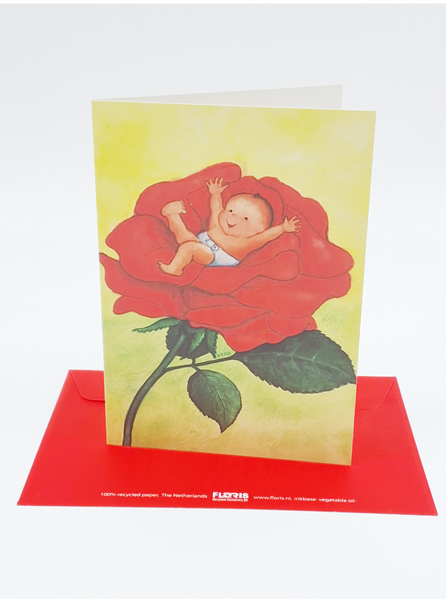 Wenskaart baby roos (F12062)