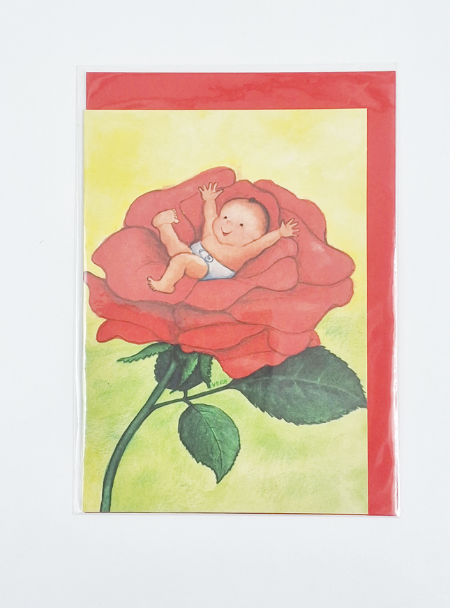 Wenskaart baby roos (F12062)